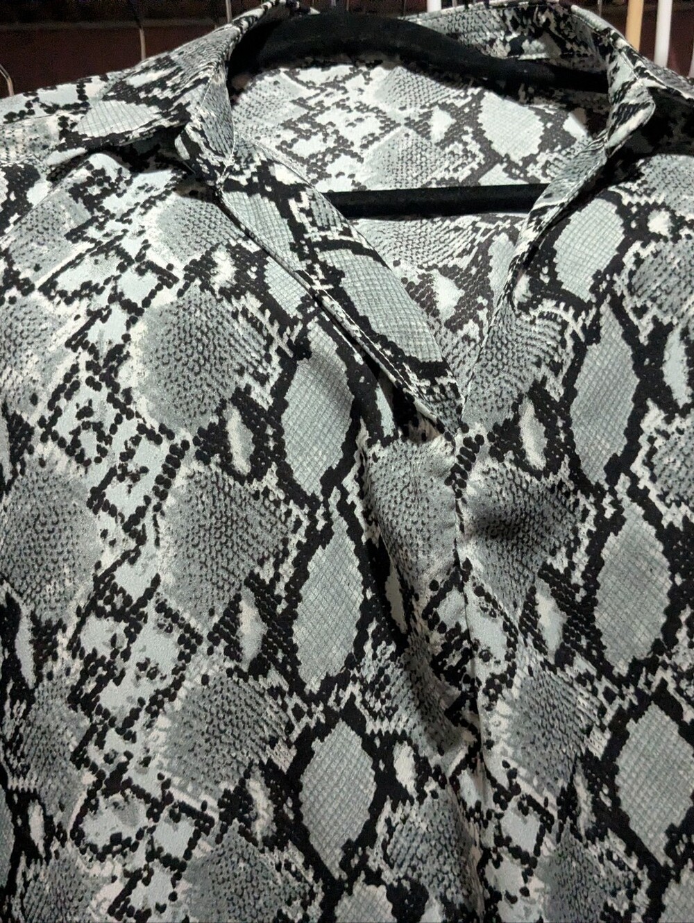Snake Print Blouse in Black and White